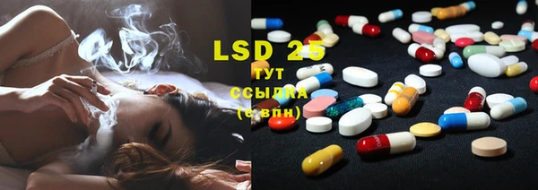 гидра Белокуриха