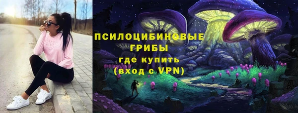 гидра Белокуриха